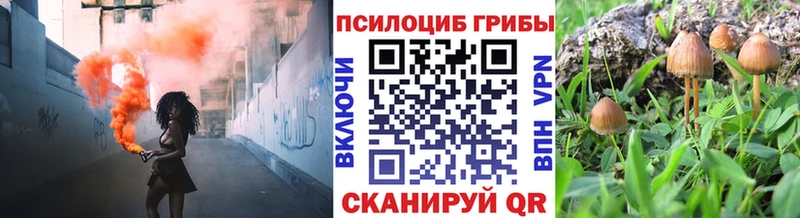 гидра зеркало  Цоци-Юрт  Галлюциногенные грибы Cubensis 