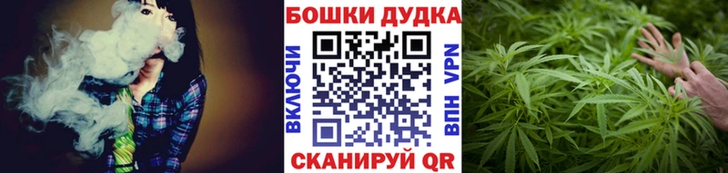 кракен зеркало  Цоци-Юрт  Канабис конопля 